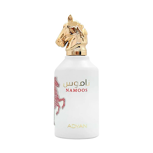 ADYAN NAMOOS EDP 100ML