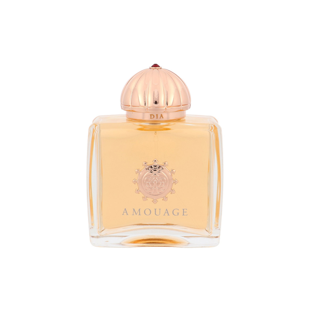 AMOUAGE DIA EDP F 100ML